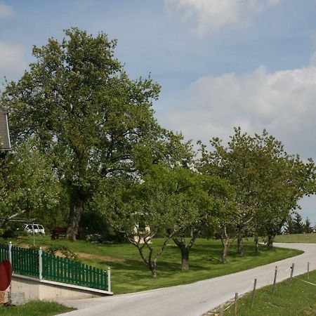 Bauernhof Hoenigshof 菲施巴赫 外观 照片