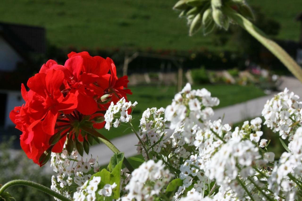 Bauernhof Hoenigshof 菲施巴赫 外观 照片